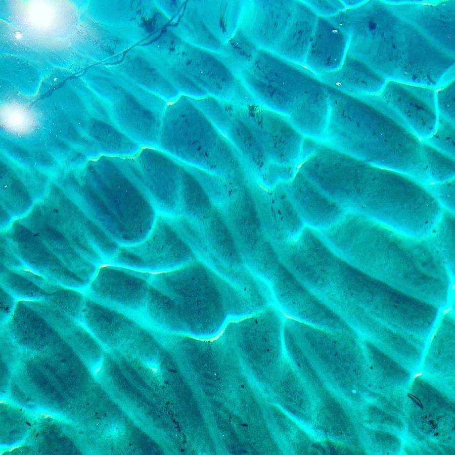 Willa Casa Miconi Beach Capraia Zewnętrze zdjęcie